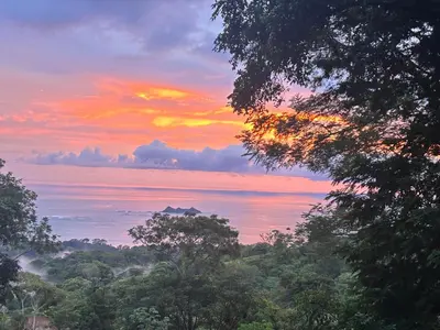 a sunset over the ocean with trees in the foreground at Jungle paradise in Ballena