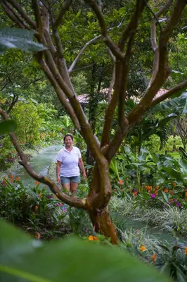 a woman standing in a tree in a garden at Hotel Catarata Río Celeste in Bijagua