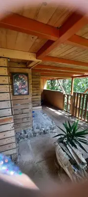 an outside view of a wooden cabin with a plant at Cabaña de Montaña in Cartago