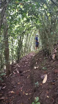 a man walking down a trail in the woods at Cabaña de Montaña in Cartago