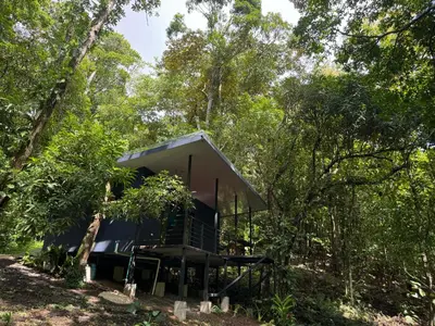 a tiny house in the woods with a porch at Deer Houses Cabuya in Cabuya