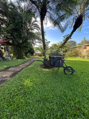 Gallery image of Villa Heliconias in Alajuela City