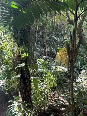 Gallery image of Villa Heliconias in Alajuela City