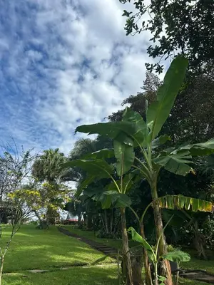 Gallery image of Villa Heliconias in Alajuela City