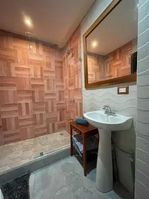 a bathroom with a sink and a shower at Pipas Apartment in Tamarindo