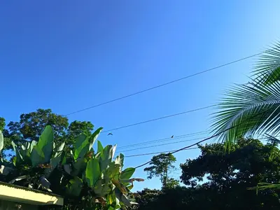 a blue sky and some trees and power lines at Apartment-Pura Vida-Wi-Fi-TV-WC-AC-Parqueo in Fortuna