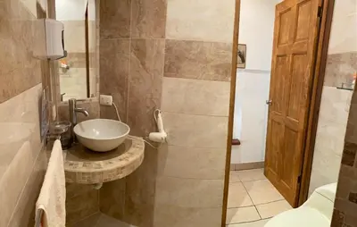 a bathroom with a sink and a shower at Casa Aba Matapalo in Matapalo