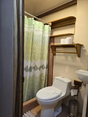 a bathroom with a toilet and a shower curtain at Cool Waters Jungle Hostel in Uvita