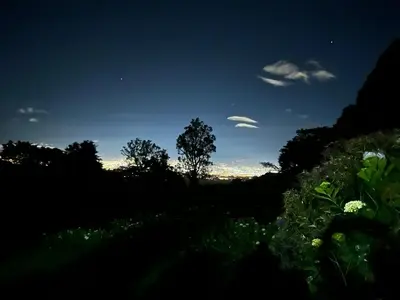 a silhouette of a tree in a field at night at Peaceful Mountain Experience - Coyote House in Poás