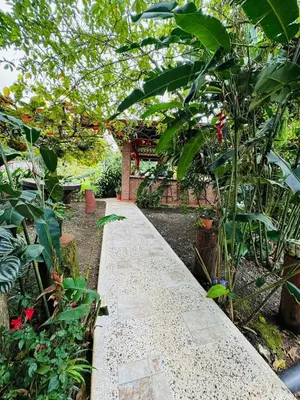 a walkway in a garden with many plants at Cabañas La Hermosa #2 in Guápiles