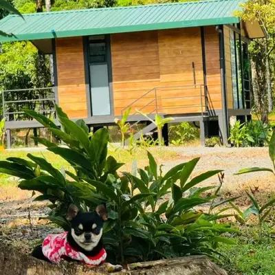 Cabañas La Hermosa #1