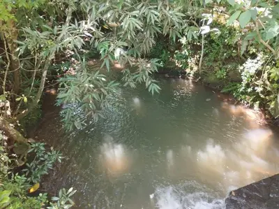 a small stream of water in a forest at Tiny Bosque del Barro in Barrio Jesús