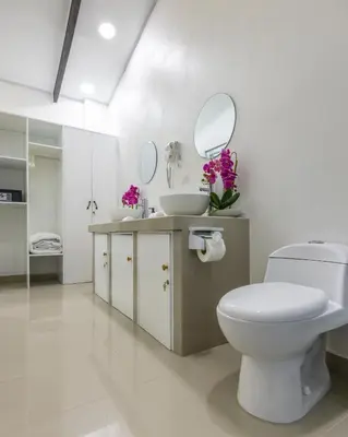 a bathroom with a toilet and a sink and mirrors at The Zion Suite Tortuguero in Tortuguero