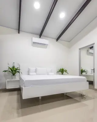 a white bedroom with a large bed and two potted plants at The Zion Suite Tortuguero in Tortuguero