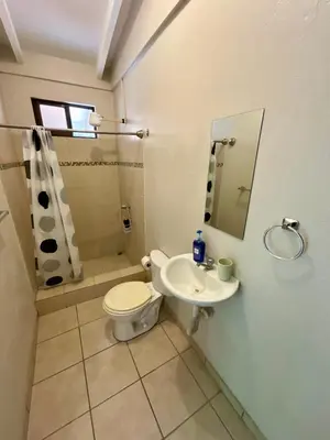 a bathroom with a toilet and a sink and a shower at Casitas de la Paz in Coco
