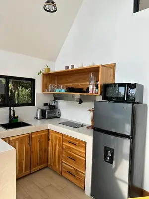 a kitchen with a stainless steel refrigerator and wooden cabinets at Nest Chalet Monteverde in Monteverde Costa Rica
