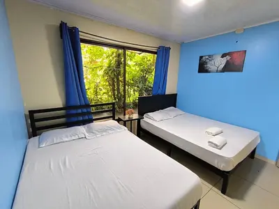 two beds in a room with a window at Green leaf house in Fortuna