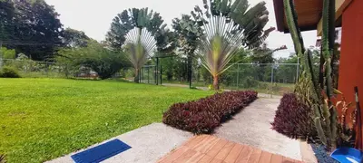 a garden with palm trees and a fence at Green leaf house in Fortuna