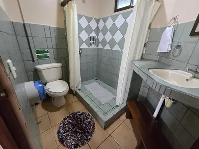 a bathroom with a shower and a toilet and a sink at Hotel Iris Arenal in Fortuna
