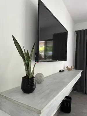 a potted plant sitting on a table in front of a mirror at Hotel Good Life in Coco