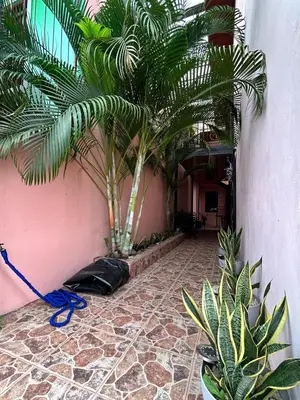 a courtyard with palm trees in a building at Apartamento Caribe Rosa in Puerto Limón