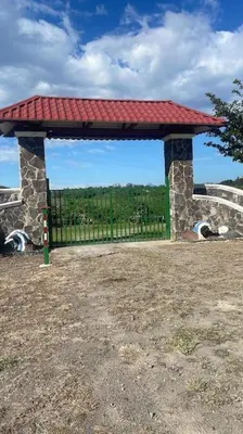 a gazebo with two cows laying under it at Casona Cocobolo el mejor lugar de Costa Rica in Guanacaste