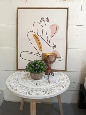 a table with a plant and a picture on a wall at Hostel Los Pargos in Río Sequito