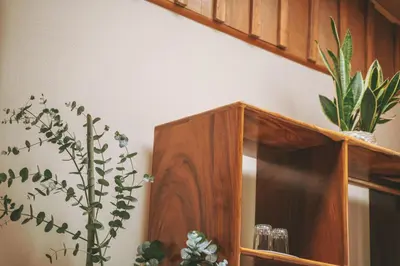 a wooden cabinet with potted plants on a wall at Santuario Ecologico Monteverde in Monteverde Costa Rica