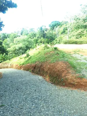 a dirt road next to a hill with trees at La cabaña del Dulce in San Rafael Norte
