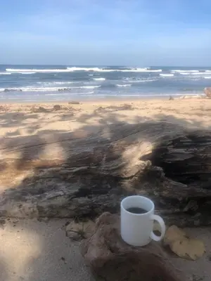 a cup of coffee sitting on a rock on the beach at La Laguna in Nosara