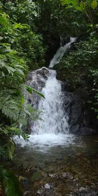 a waterfall in the middle of a forest at Chirripó Oasis in Canaán