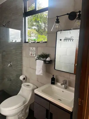 a bathroom with a toilet and a sink and a mirror at Paraíso privado Arenal Dragonfly in Fortuna