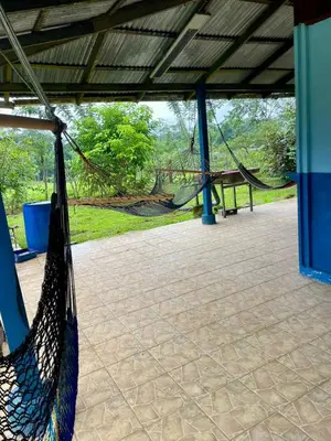 a hammock in a pavilion with a park at Gamboa Farm Lodge in Río Cuarto
