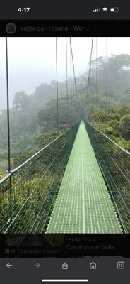 a view of a suspension bridge in the jungle at La casa de la piedra in Monteverde Costa Rica