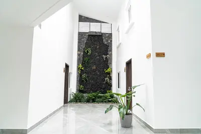 a hallway with white walls and a plant at Home 333 Habitacion 331 in Escazu