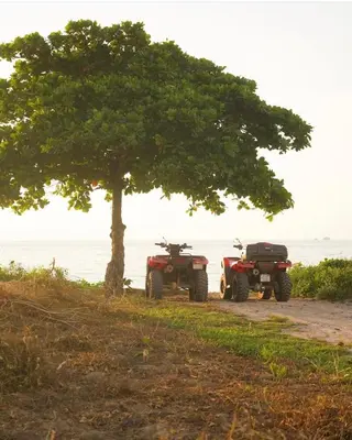 two atvs and a tree on a dirt road at Villas Vibras in Playa Avellana