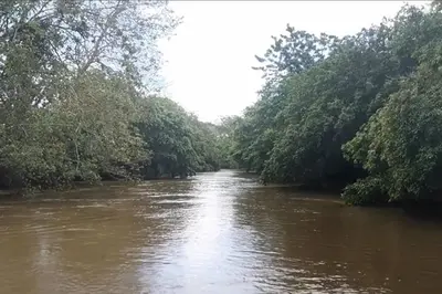 a river with trees on both sides of it at CañoNegro CasaBlanca in Caño Negro