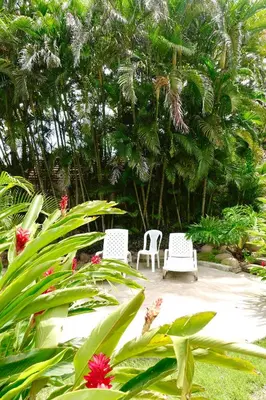 two white chairs sitting in a garden with palm trees at Supreme Serenity 2BR2BA Ocotal Coastal Retreat in Coco
