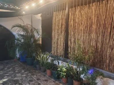 a row of potted plants on a patio at Apartamento Casa Laura in Quepos
