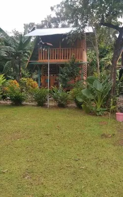 a house in a yard with a grass field at Rustic wooden little house close to the beach in Uvita