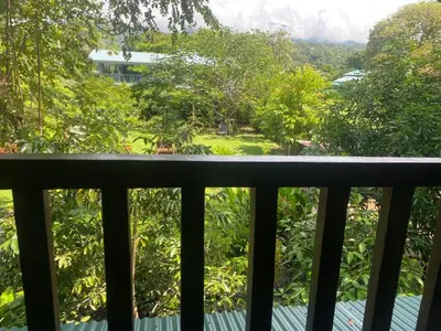 a balcony with a view of a garden at Rustic wooden little house close to the beach in Uvita