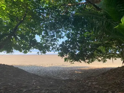 a view of the beach from under a tree at Cute studio-apartment near the beach in Uvita