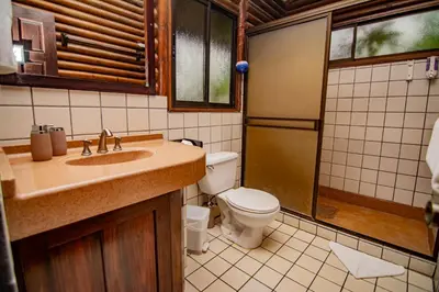 a bathroom with a toilet and a sink and a shower at Cabaña Los Tucanes in Fortuna