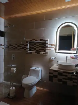 a bathroom with a toilet and a sink and a mirror at Villa deluxe, jacuzzi, cocina in Fortuna