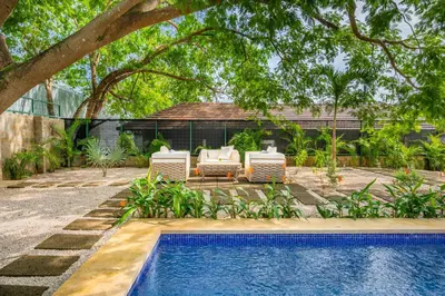 a backyard with a pool and two chairs and a tree at Villa Juntos in Tamarindo