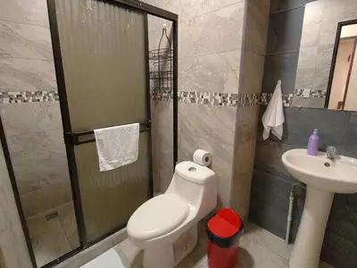 a bathroom with a shower and a toilet and a sink at Arenal Honey House in Fortuna
