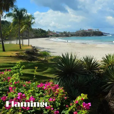 a beach with pink flowers and palm trees and the ocean at Hotel Tama Lodge in Tamarindo