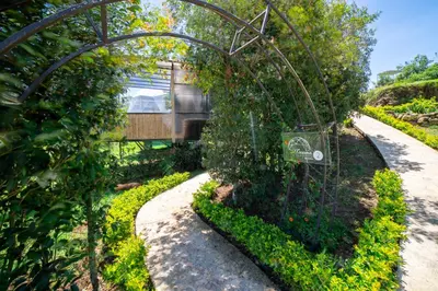 a garden with an arbor in a garden at Tocuma Glamping in Cartago
