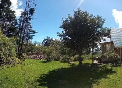 a yard with a tree and a house at Casita Acantilado - Timber Frame Tiny House in Monteverde Costa Rica