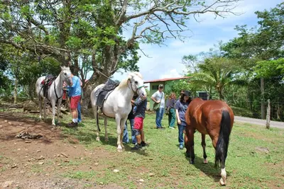 a group of people with three horses and a horse at Guayabo Animal Rescue & Sanctuary in Hacienda Miravalles